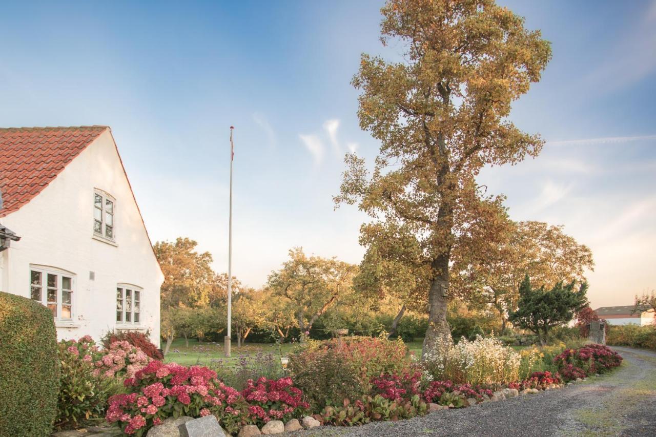 Sjaelegard Countryside Lodge Allinge-Sandvig Екстериор снимка