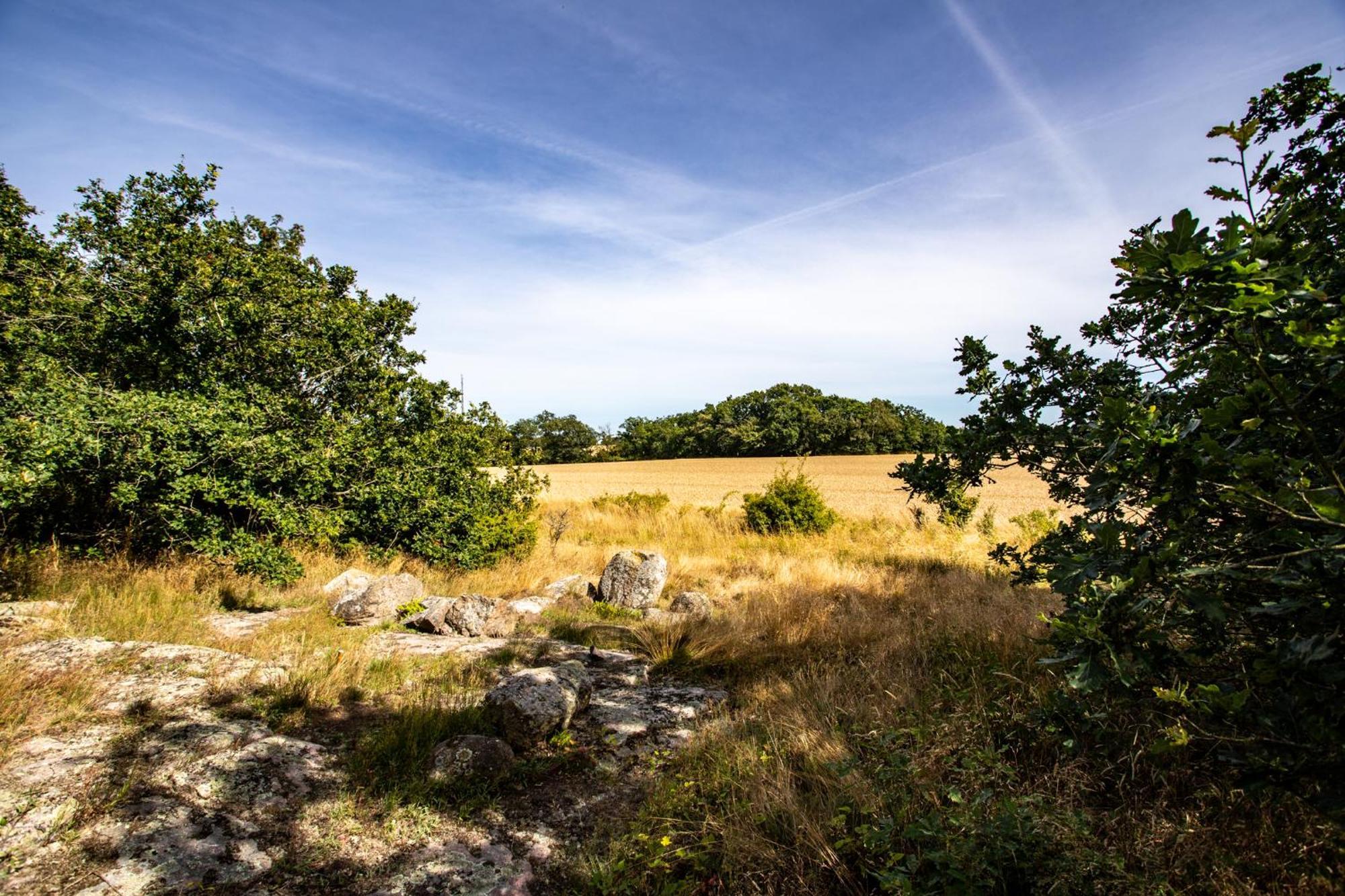 Sjaelegard Countryside Lodge Allinge-Sandvig Екстериор снимка